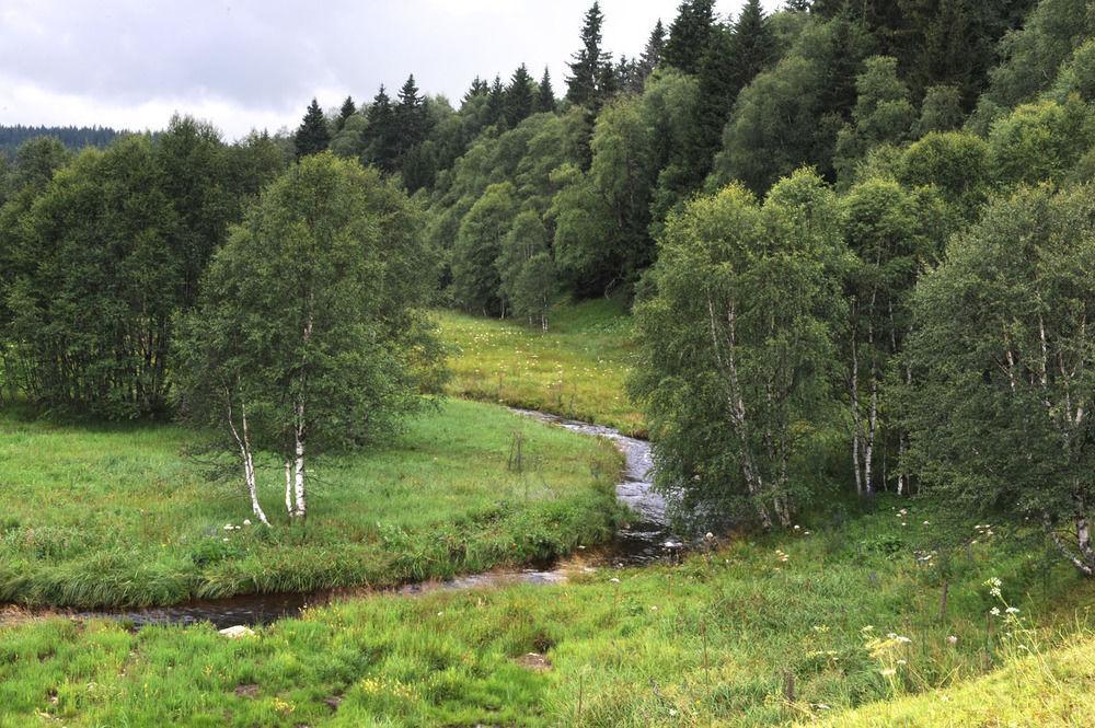 Sumava Inn Kvilda Bagian luar foto